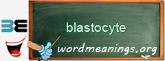 WordMeaning blackboard for blastocyte